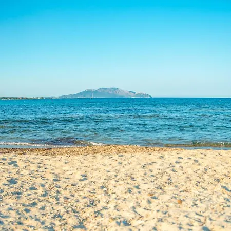 Belvedere 34 * Olbia